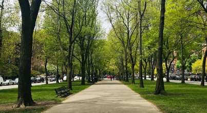 Park and Recreation