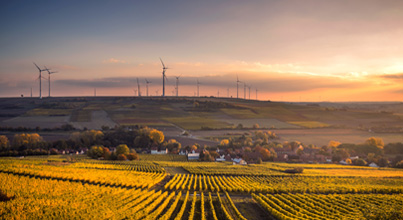Agriculture and Food